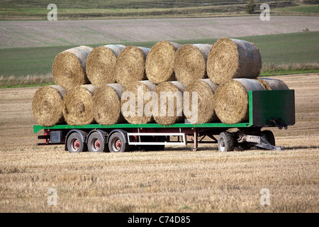 Camion chargé de balles rondes de foin ou de roues Banque D'Images