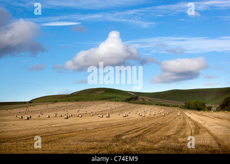 Champ de blé récoltés avec des balles de foin ou de roues Banque D'Images