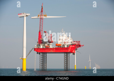 Le cric l'barge, Krakken, ascenseurs d'une lame en place sur une éolienne sur l'éolien offshore Walney, Cumbria, UK Banque D'Images