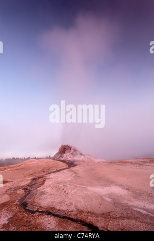 L'augmentation de vapeur White Dome Geyser de grand matin, Firehole Lake Drive, le Parc National de Yellowstone, Wyoming, USA Banque D'Images