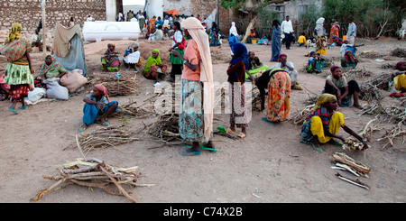 Les négociants locaux au marché près de l'Oromo Erer porte dans la vieille ville fortifiée de Harar dans l'Est de l'Éthiopie, l'Afrique. Banque D'Images