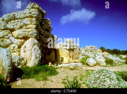 Temple Ggantija, néolithique, Xaghra, GOZO, Malte Banque D'Images