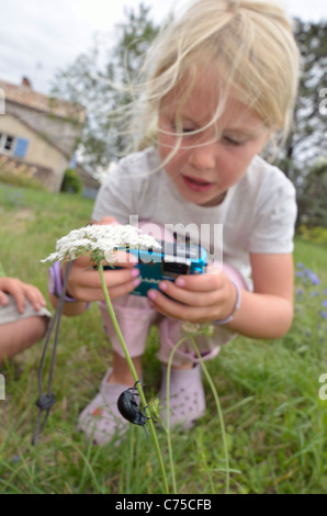 Les enfants bénéficiant de la prise de photographies de bug et d'animaux dans un champ. Banque D'Images