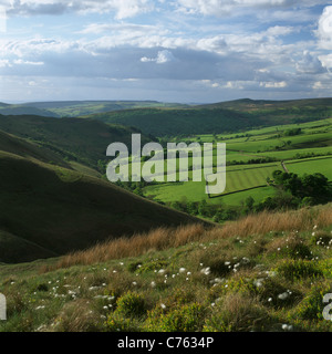 Des champs verts et une scène rurale de la zone autour de South Head Farm dans le Peak District. Banque D'Images