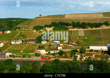 La vinification avec la municipalité de Wormeldange Koeppchen Wormeldinger dans la vallée de la Moselle, Luxembourg Banque D'Images