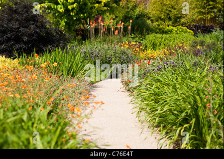 Le jardin chaud en juin, RHS Rosemoor, Devon, Angleterre, Royaume-Uni Banque D'Images