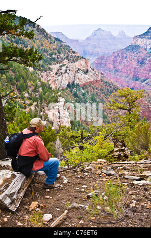 Randonneur sur l'Widforss Trail à la rive nord du Grand Canyon National Park, Arizona. Banque D'Images