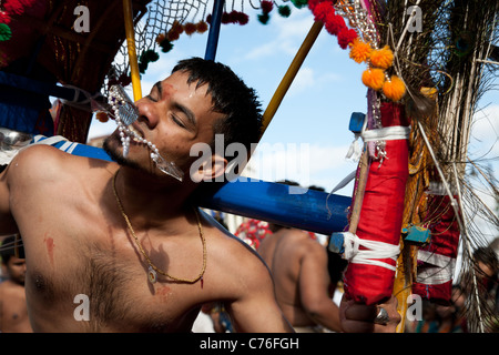 Le pénitent dans la procession de Thaipusam, au cours de l'Assemblée annuelle de la communauté tamoule, Festival de chars Tooting, Londres Banque D'Images