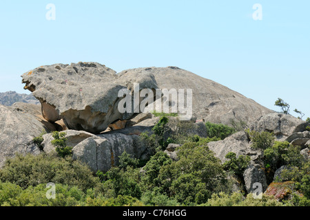 Rocher de granit sculptés par le vent et le temps en forme de champignons biologiques perché sur les affleurements de granit, près de Figari, corse. Banque D'Images