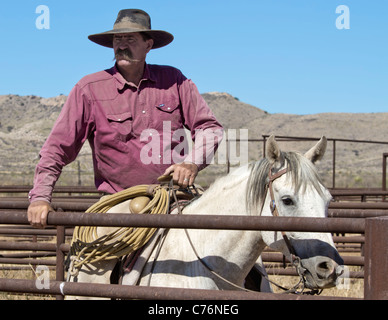 Le bétail de Cowboy regarder voyage au cours d'un des stylos sur un roundup West ranch au Texas. Banque D'Images