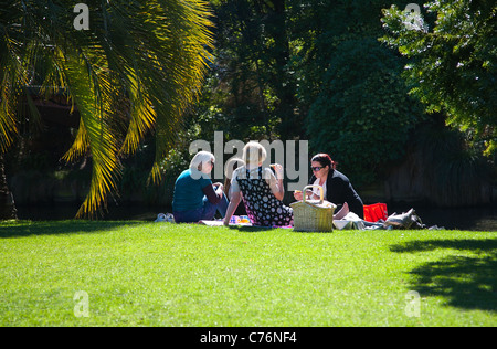 Un groupe de femmes ayant un pique-nique au soleil. Hagley Park, Christchurch, Canterbury, île du Sud, Nouvelle-Zélande. Banque D'Images
