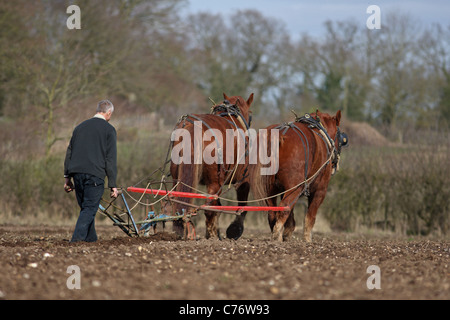 Gressenhall labour cheval Norfolk UK GO Banque D'Images