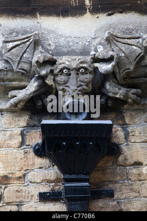 Sur la Gargouille de l'église St Andrews Castle Combe Banque D'Images