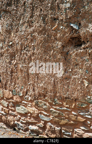 Devon s/n mur au-dessus d'un mur de fondation en pierre. Cobb est composé d'argile, de sable, de la paille, de l'eau, et la terre similaire à Adobe. Banque D'Images