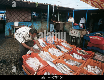 Marché de poissons à Tripoli, Libye Banque D'Images