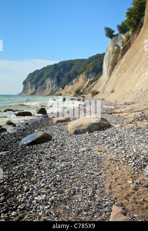 Falaises de craie, le Parc National de Jasmund, Ruegen, Mecklenburg Vorpommern, Allemagne Banque D'Images