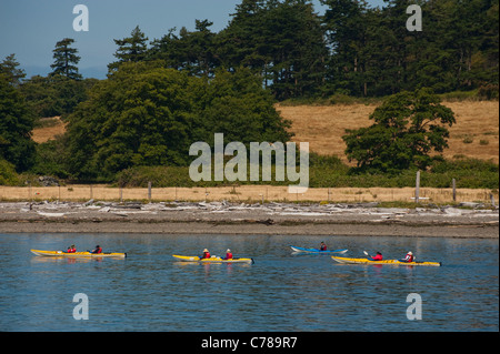 Les kayakistes pagayer le long du rivage d'une île dans la région de Puget Sound des îles San Juan de l'État de Washington. Banque D'Images