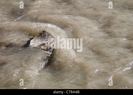 La glace d'un glacier fond dans un écoulement glaciaire, Seward, Alaska. © Craig M. Eisenberg Banque D'Images