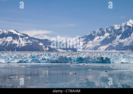 Glacier Hubbard comme vu à partir d'un bateau dans la baie de Yakutat, Alaska. Banque D'Images