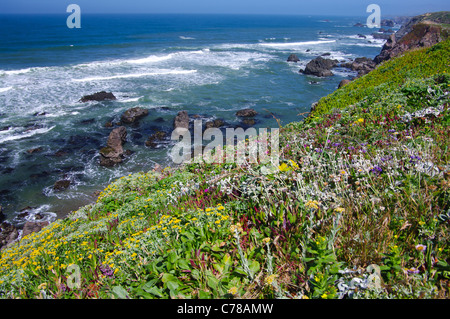 Côte de Californie en Juin Banque D'Images