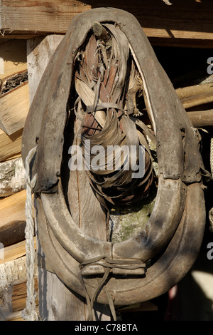 Vieux cheval collier pesant sur l'entrée dans une grange. Banque D'Images