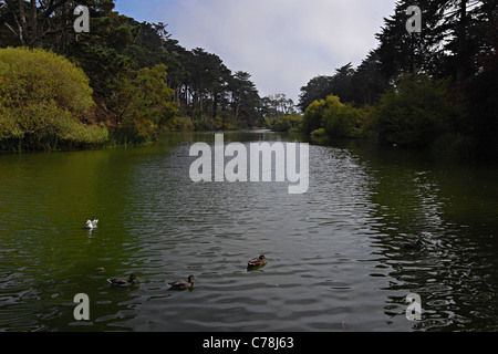 Stow Lake, Golden Gate Park, San Francisco, Californie Banque D'Images