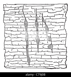 Veine géologique, illustration montrant des veines d'entaille verticale (minerai de plomb) à l'ombre dans la galène (les). Banque D'Images