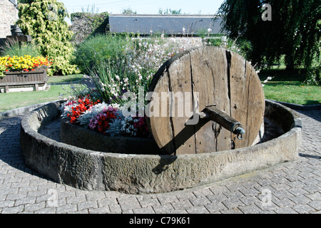 Une vieille pomme cidre pierre moulin avec un volant boisé, Ducey (Manche, Basse-Normandie, France). lt (Orne, Normandie, France). Banque D'Images