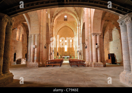 L'Espagne, Saint James Way : Intérieur de la basilique du monastère Santa Maria la Real de Irache Banque D'Images
