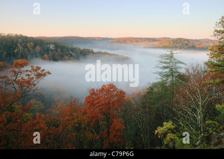 Une vallée remplie de brouillard à l'automne, juste après le lever du soleil Banque D'Images