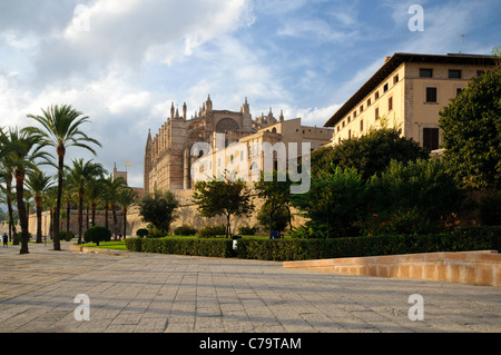 La Seu, la cathédrale et monument de Palma, centre-ville historique, Palma de Majorque, Majorque, Îles Baléares, Espagne, Europe Banque D'Images