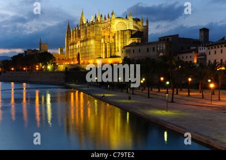 La Seu, Cathédrale illuminée et monument de Palma dans la lumière du soir, centre-ville historique, Palma de Majorque, Espagne Banque D'Images