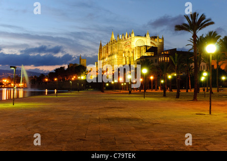 La Seu, Cathédrale illuminée et monument de Palma dans la lumière du soir, centre-ville historique, Palma de Majorque, Espagne Banque D'Images