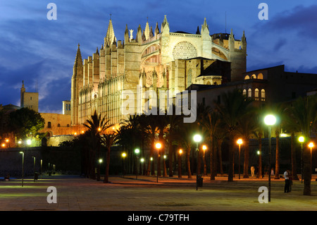 La Seu, Cathédrale illuminée et monument de Palma dans la lumière du soir, centre-ville historique, Palma de Majorque, Espagne Banque D'Images