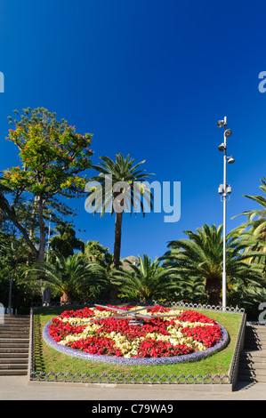 Horloge Fleurie, Parque García Sanabria Park, Santa Cruz, Tenerife, Canaries, Espagne, Europe Banque D'Images