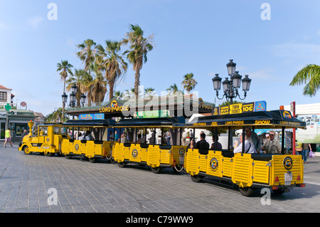 Train à Loro Parque, Puerto de la Cruz, Tenerife, Canaries, Espagne, Europe Banque D'Images