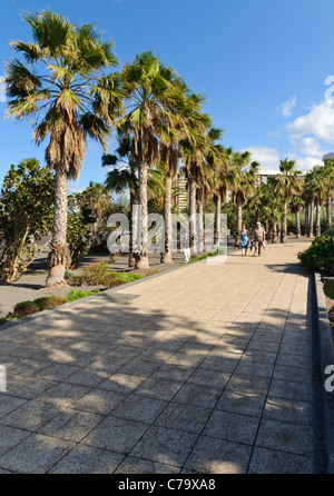 Playa Jardin, Puerto de la Cruz, Tenerife, Canaries, Espagne, Europe Banque D'Images