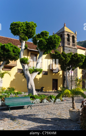 Ex-Convento de Santo Domingo de Guzmán, un ancien monastère dominicain, Garachico, Tenerife, Canaries, Espagne, Europe Banque D'Images