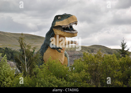 Un grand Tyrannosaurus rex situé à Drumheller, Alberta, Canada. Banque D'Images