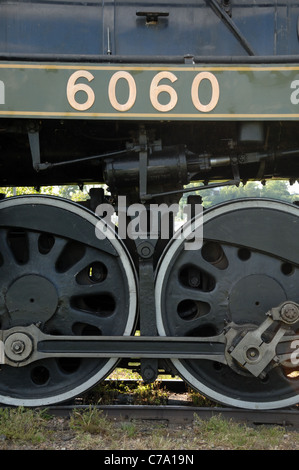 Une partie de la locomotive 6060 machine à vapeur. Banque D'Images