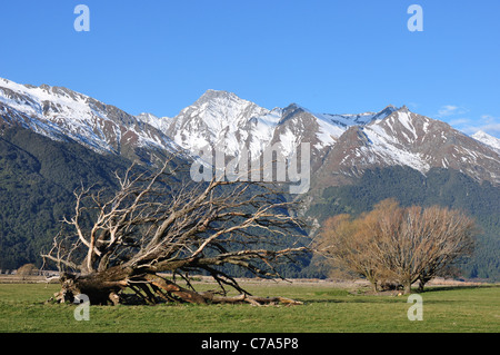 Montage route aspirant à la station de moutons vistas head quarters intégrant des champs et d'arbres les Alpes en toile de fond. Banque D'Images