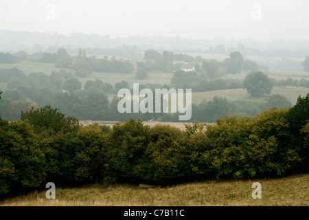 Paysage d'été avec la brume, champs, séparés par des haies, près de Carrouges (Orne, Normandie, France, Europe). Banque D'Images