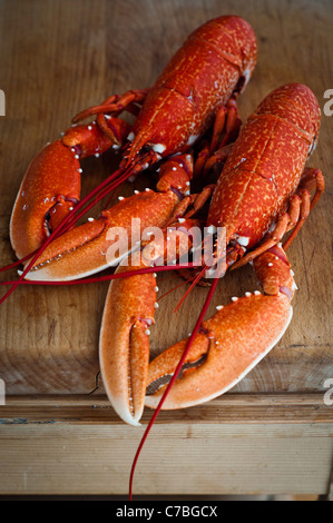 Ensemble de deux homards bouillis prêt sur planche à découper cuisine en bois Banque D'Images