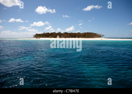 Une partie de l'Île Wilson Capricornia Cays National Park Great Barrier Reef Marine Park Site du patrimoine mondial de l'Unesco au Queensland Banque D'Images