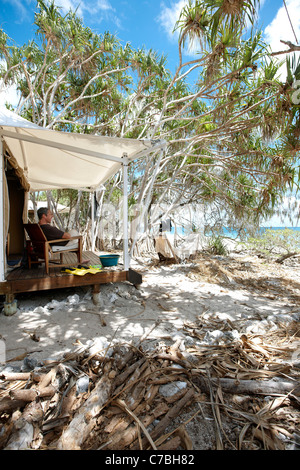 Tente de luxe sur pilotis sur la plage sous les arbres Pandanus Wilson Island Resort l'Île Wilson partie de la Capricornia Cays Na Banque D'Images