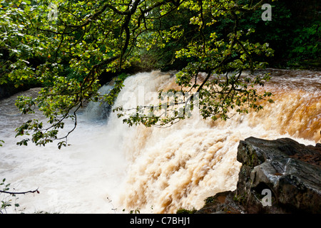 Sgwd oisans gwyn cascades dans le parc national de Brecon Beacons. Banque D'Images