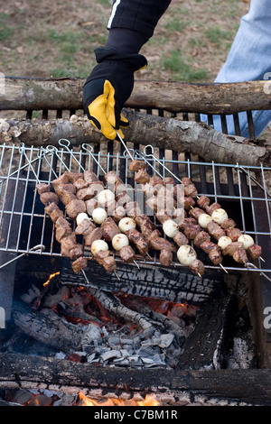 Brochettes de boeuf shish kebab la cuisson à un feu de camp à chaud. Banque D'Images