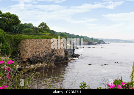 La belle côte de Rhode Island, avec des fleurs sauvages en premier plan. Banque D'Images