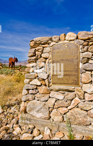 Inscrivez-vous à Galleta Meadows Estate, Borrego Springs, California USA Banque D'Images