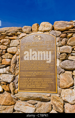 Inscrivez-vous à Galleta Meadows Estate, Borrego Springs, California USA Banque D'Images